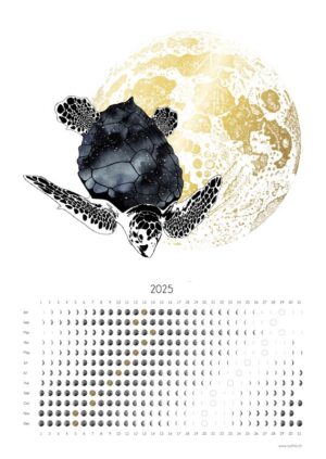 Poster A3 en papier de qualité montrant une tortue portant un ciel étoilé devant la pleine lune